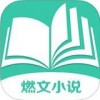 燃文小说网APP 安卓版V6.37.0