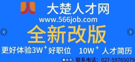 武汉大楚人才网官方版