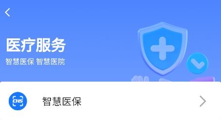 百色通APP