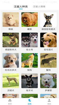 动物翻译器下载软件