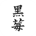 黑莓小说 1.3.7 版本