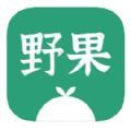 最新版野果阅读下载