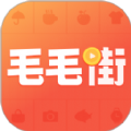 毛毛街应用程序