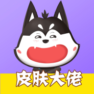皮肤大佬最新版本软件