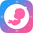 妈妈网孕育官方版APP