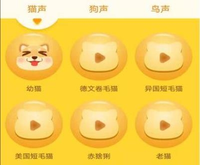 宠物翻译器app中文版