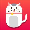 《猫的小说》