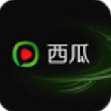 西瓜视频播放器