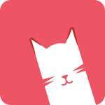 猫咪直播