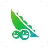 豌豆荚软件下载与安装