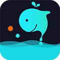 "Blue Whale Comics"