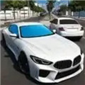 驾驶教师3D最新版下载指南