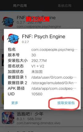 黑色星期五之夜：马里奥的疯狂V2模组版