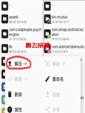 黑色星期五之夜：马里奥的疯狂V2模组版