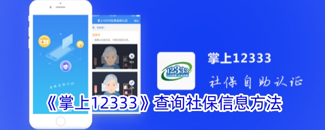 《掌上12333：社保信息查询指南》