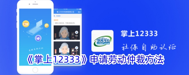 《掌上12333：劳动仲裁申请指南》