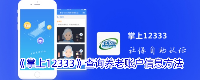 《掌上12333》养老账户信息查询指南