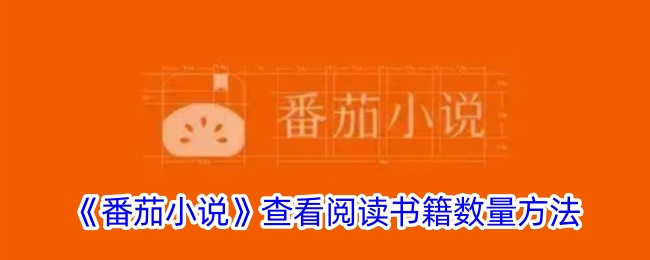 《如何查看番茄小说中的书籍数量》