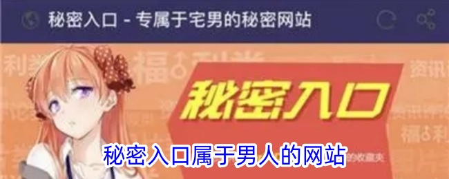 男人专属的秘密入口网站