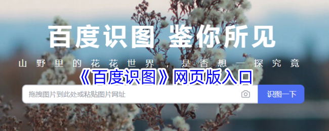《百度识图》网页版登陆入口