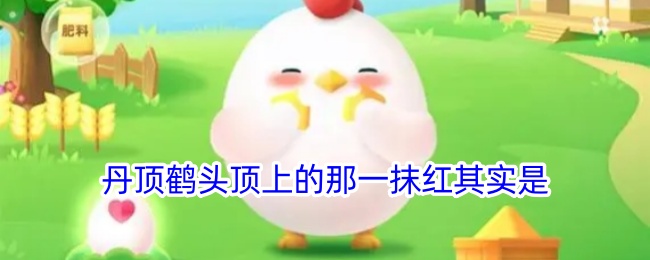 丹顶鹤头顶的红色解析