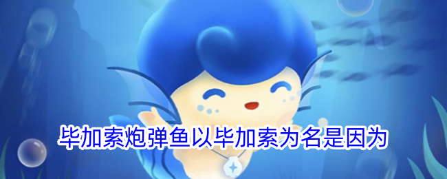 毕加索炮弹鱼为何以毕加索命名