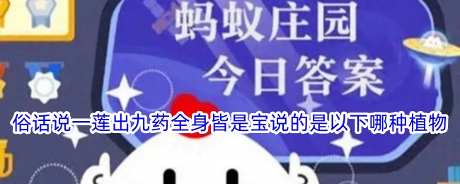 一莲出九药，全身皆是宝，指的是什么植物？