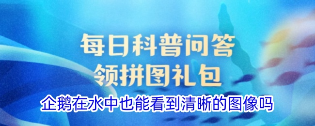 企鹅在水中能看清楚吗