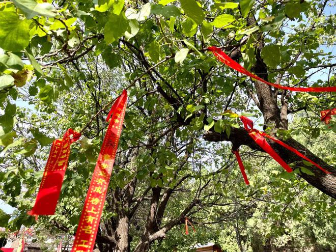 重阳节古代活动