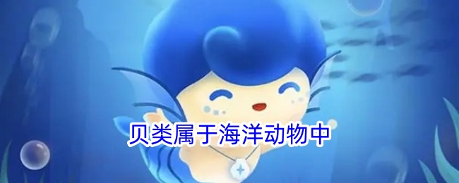 贝类是海洋动物的一种