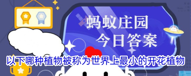 世界上最小的开花植物是哪种？