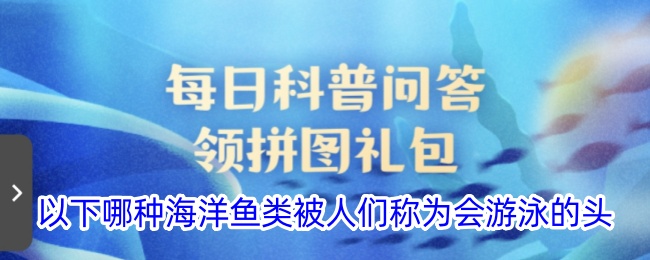 哪种海洋鱼类被称为会游泳的头？
