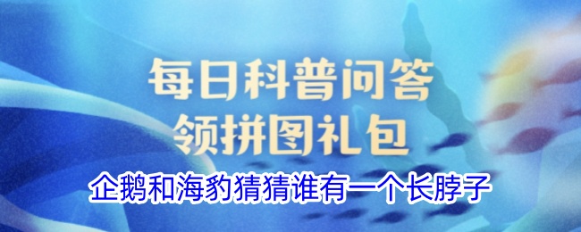 企鹅和海豹，猜猜谁脖子更长