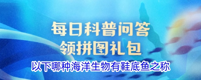 哪种海洋生物被称为鞋底鱼