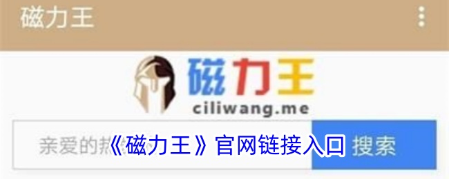 《磁力王》官网入口