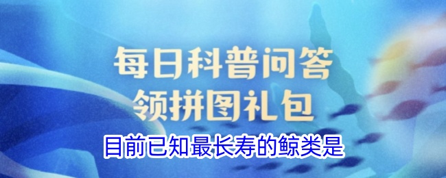 已知最长寿鲸类是