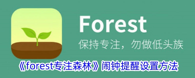 《forest闹钟提醒设置方法》