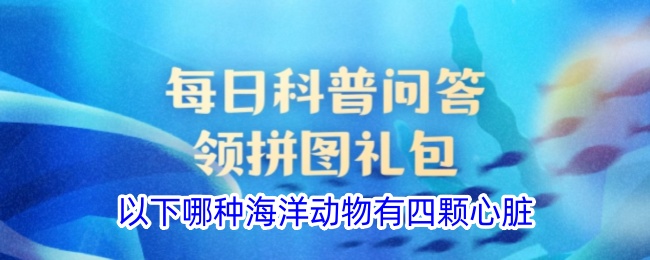 哪种海洋动物有四颗心脏
