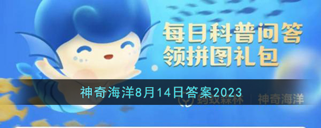 海獭用什么做床