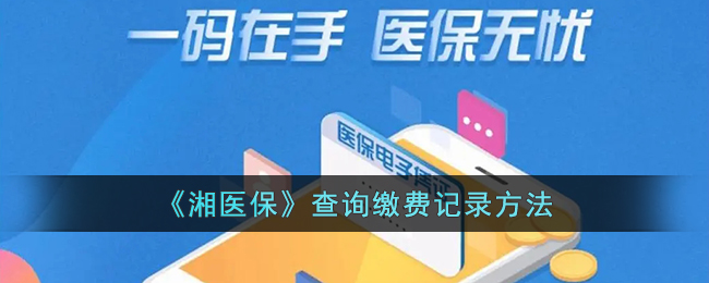 《湘医保》缴费记录查询方法