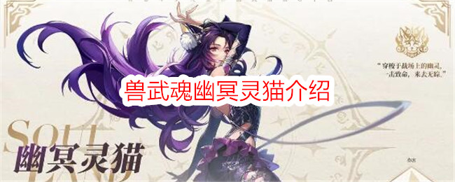 《斗罗大陆：史莱克学院》幽冥灵猫兽武魂解析