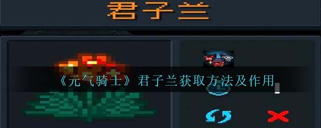 《元气骑士》君子兰获得方法与作用