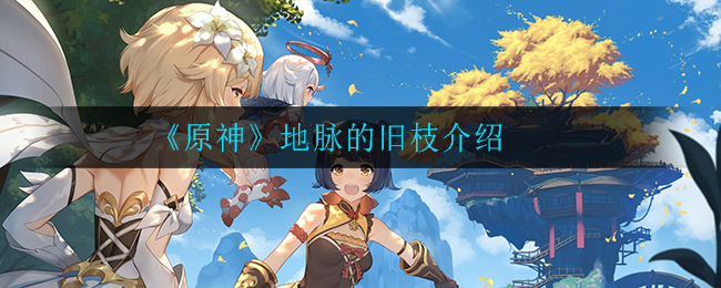 《原神》地脉旧枝解析
