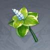 《原神》薄荷介绍